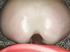 Un oso, un hocico en ...