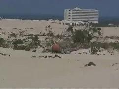 El caso es que el ma ...