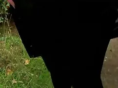 Gay sucio xxxmaduras ...