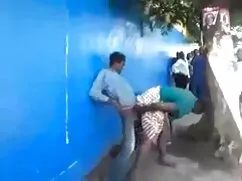 La abeja golpea suav ...